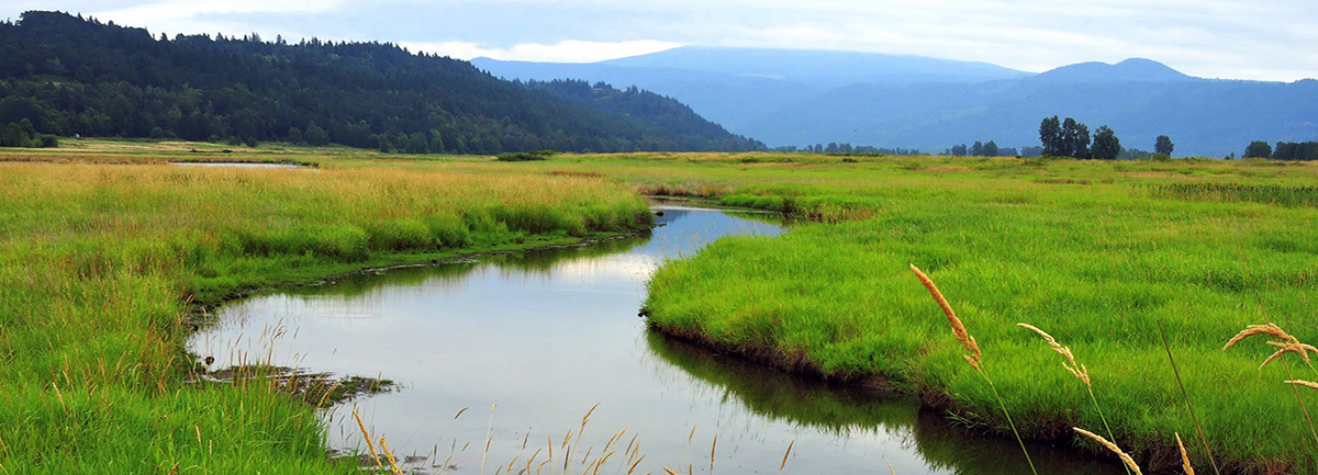 Steigerwald Lake National Wildlife Refuge - Gibbons Creek